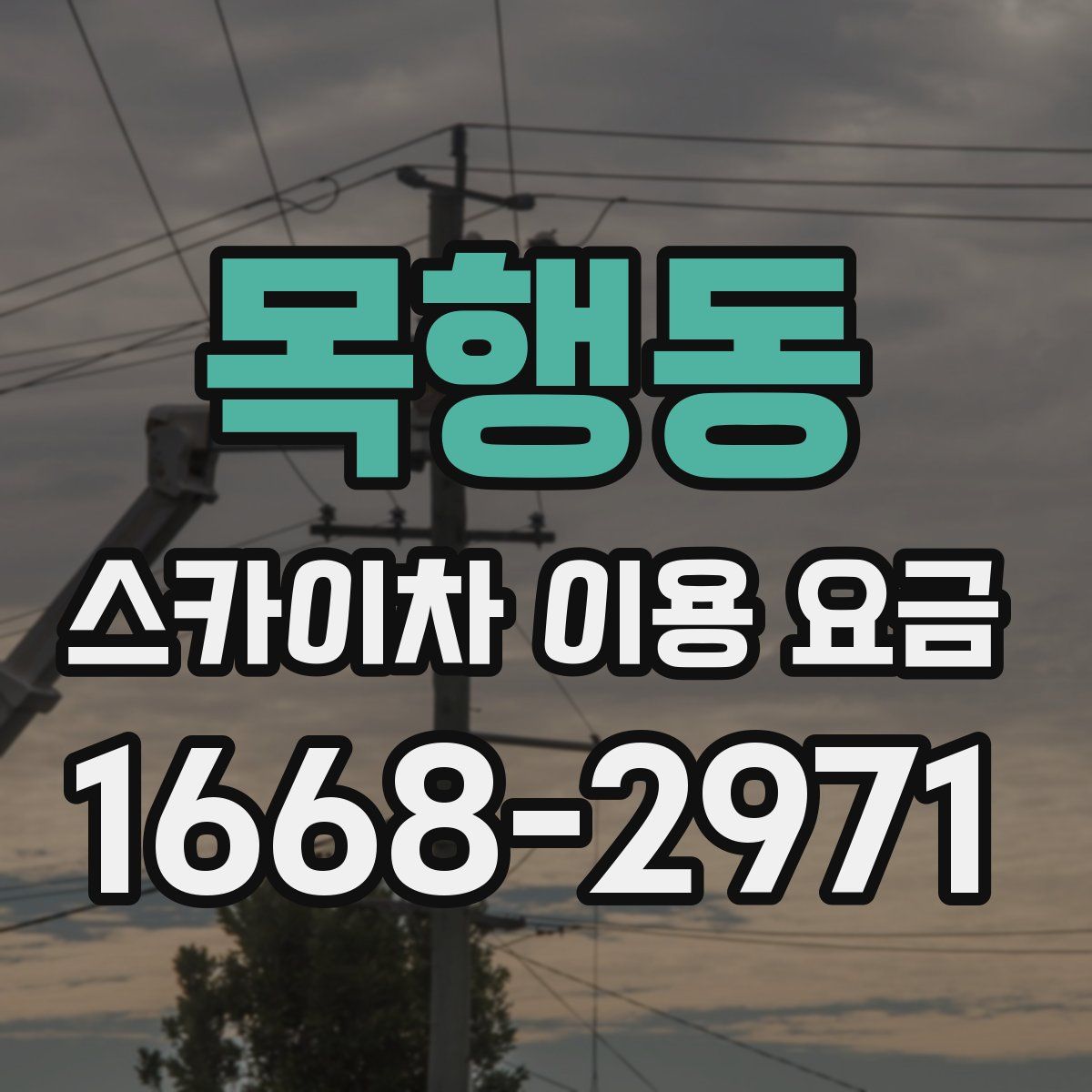 목행동 스카이차 이용 요금