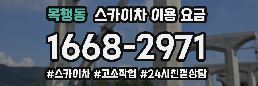 목행동 스카이차 이용 요금