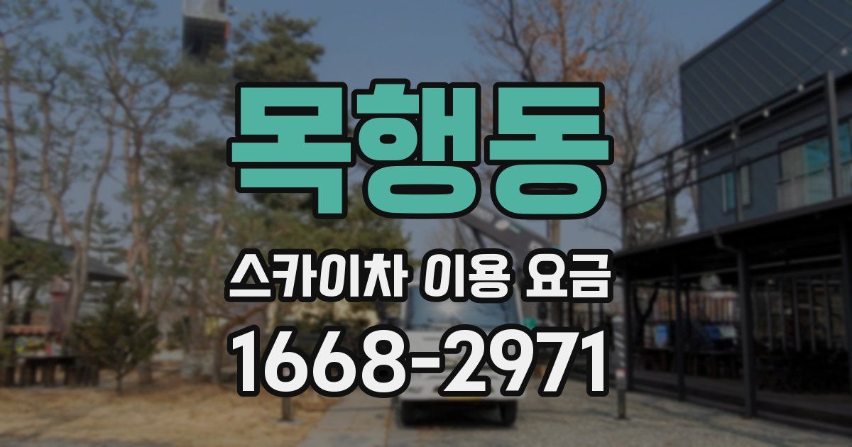 목행동 스카이차 이용 요금