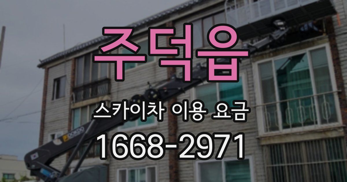 주덕읍 스카이차 이용 요금