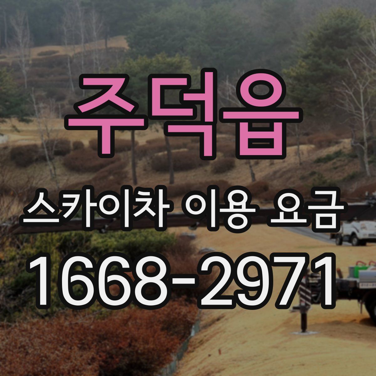 주덕읍 스카이차 이용 요금