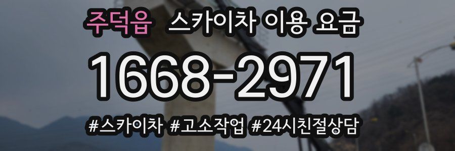주덕읍 스카이차 이용 요금