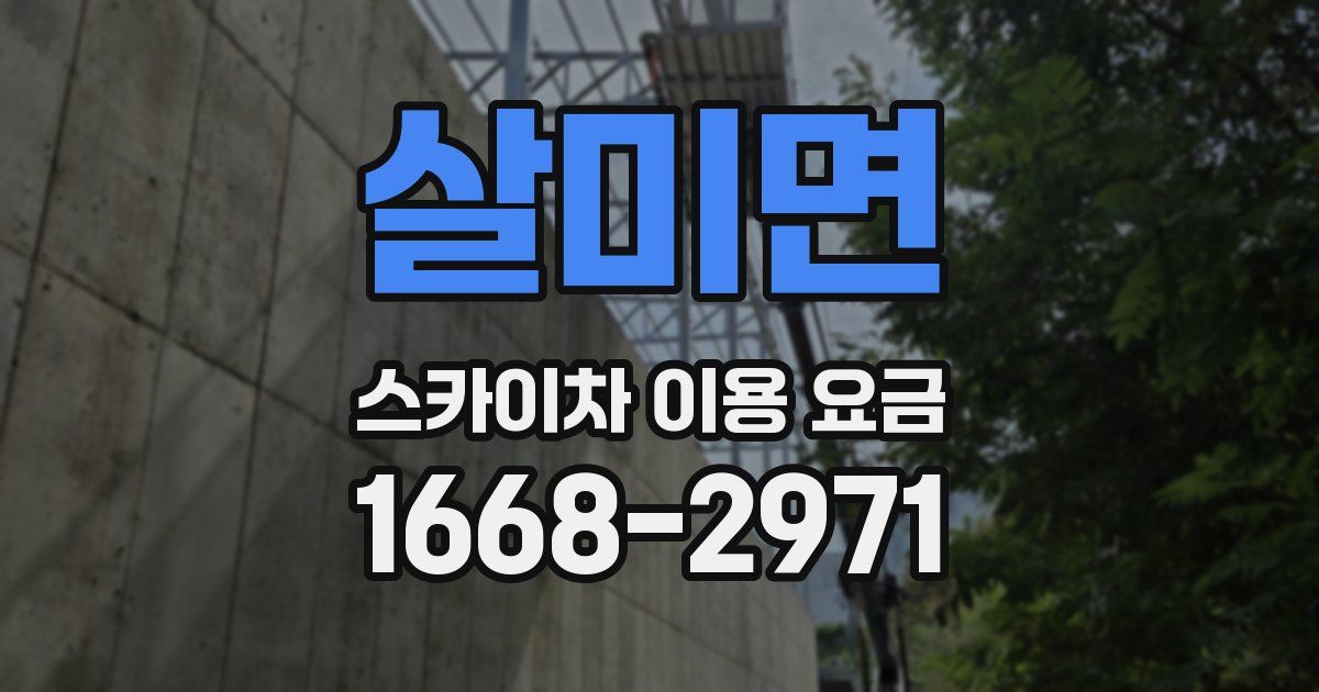 살미면 스카이차 이용 요금