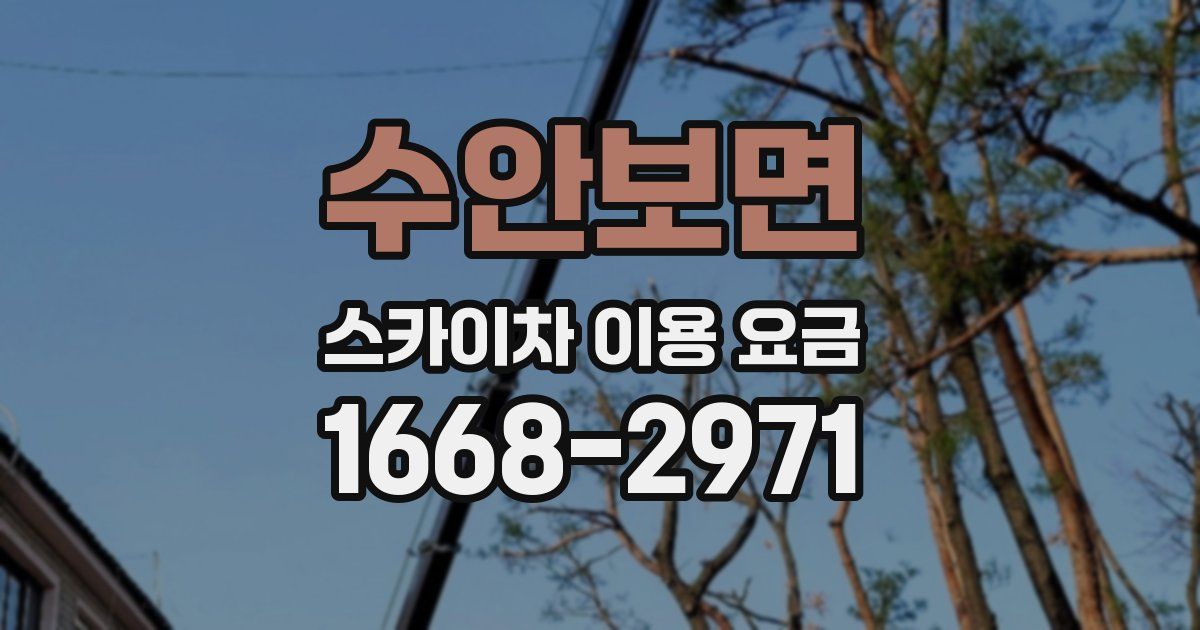수안보면 스카이차 이용 요금