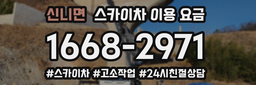 신니면 스카이차 이용 요금
