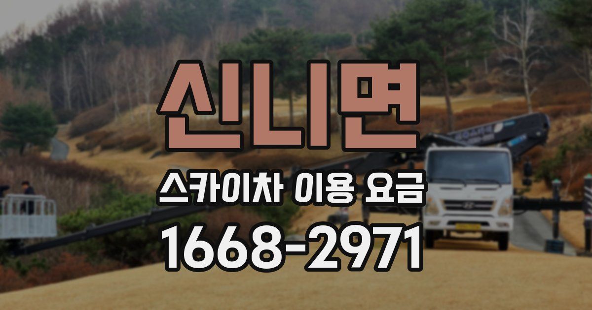 신니면 스카이차 이용 요금