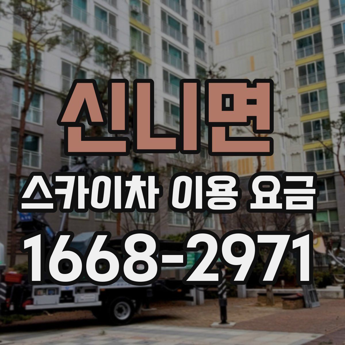 신니면 스카이차 이용 요금