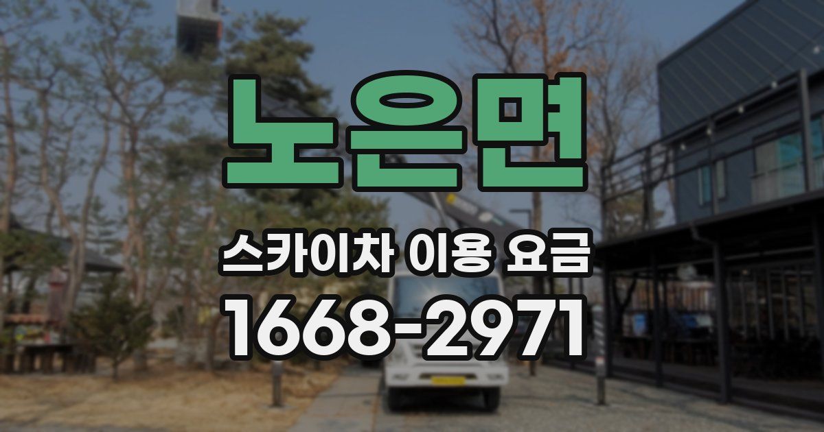 노은면 스카이차 이용 요금
