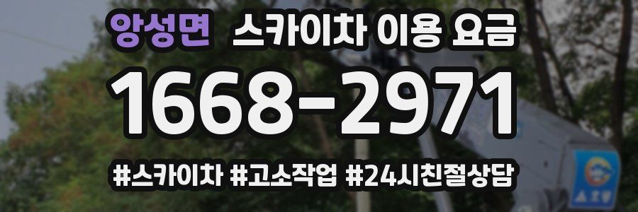 앙성면 스카이차 이용 요금