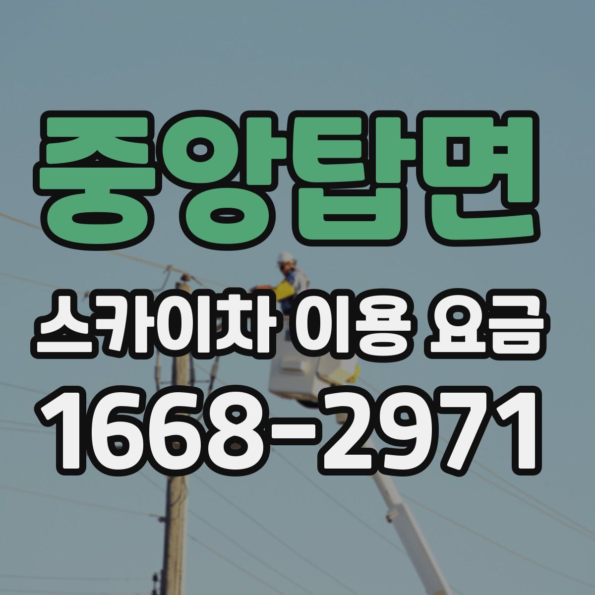 중앙탑면 스카이차 이용 요금