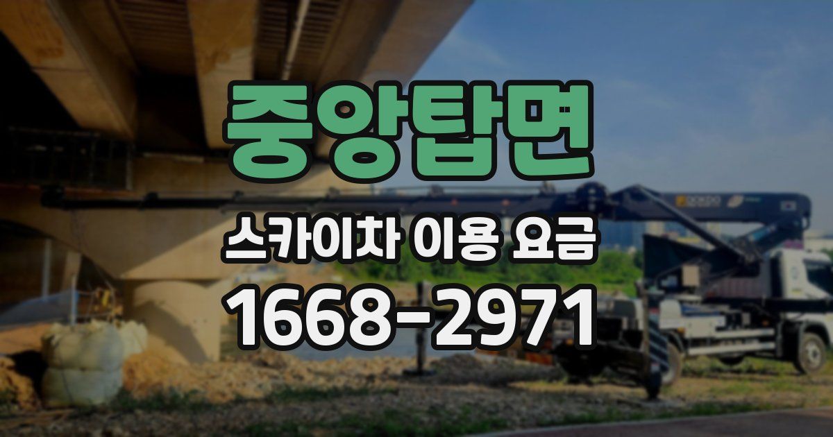 중앙탑면 스카이차 이용 요금