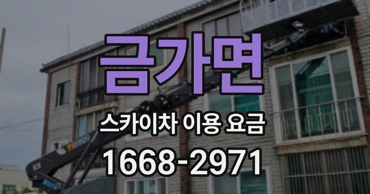금가면 스카이차 이용 요금