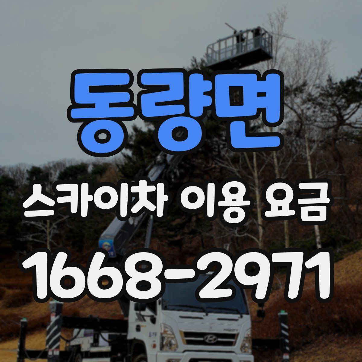동량면 스카이차 이용 요금