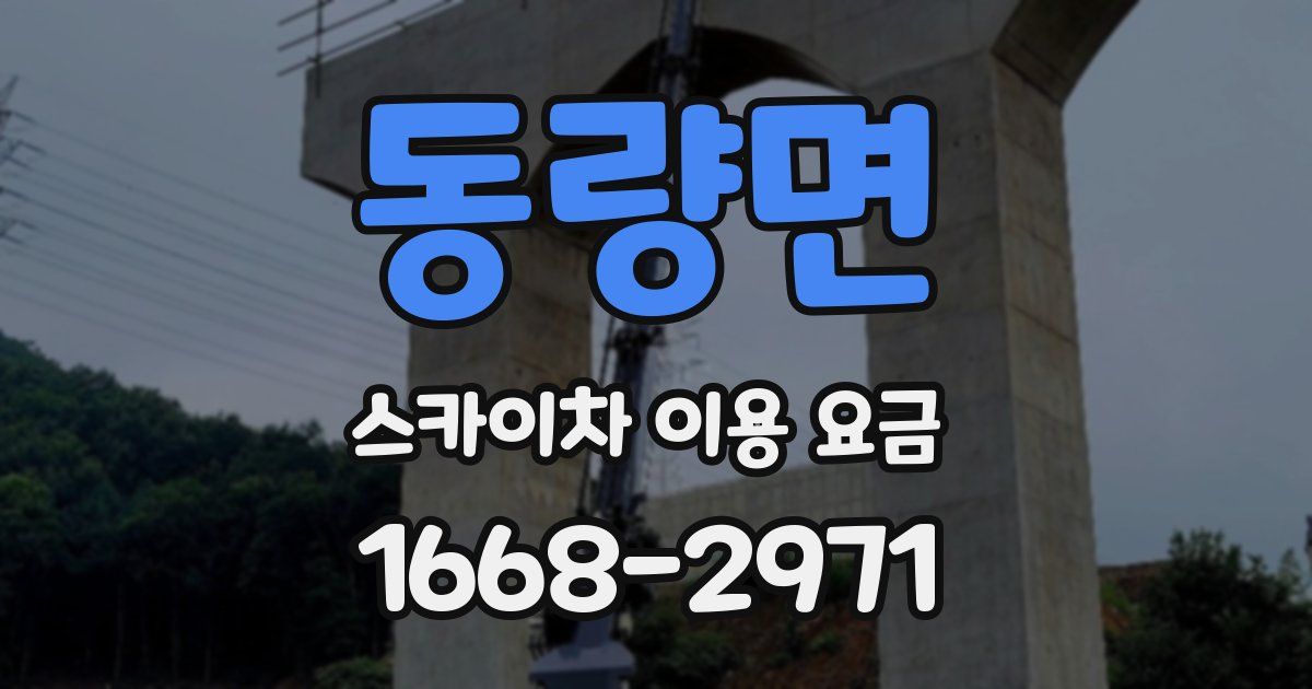 동량면 스카이차 이용 요금