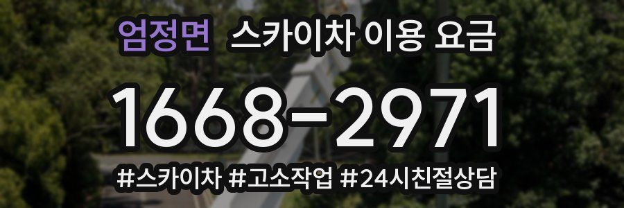 엄정면 스카이차 이용 요금