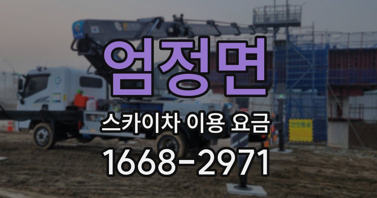 엄정면 스카이차 이용 요금