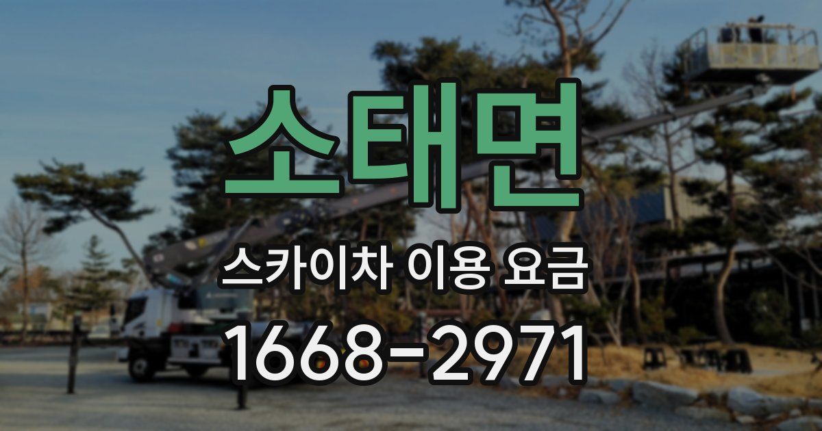 소태면 스카이차 이용 요금