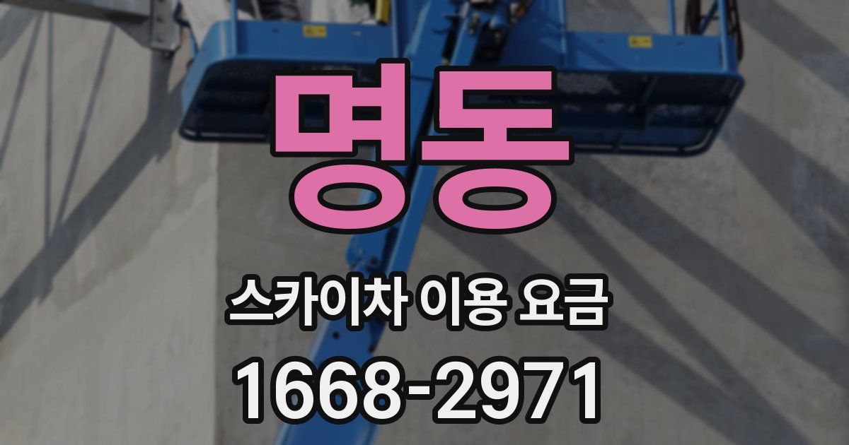 명동 스카이차 이용 요금