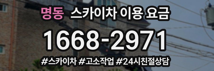 명동 스카이차 이용 요금