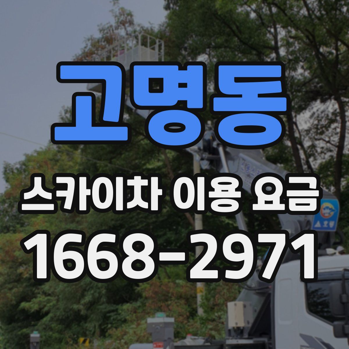 고명동 스카이차 이용 요금