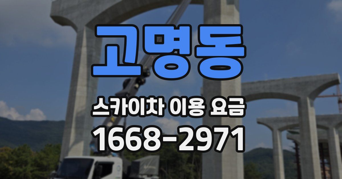 고명동 스카이차 이용 요금