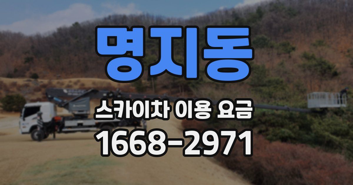 명지동 스카이차 이용 요금
