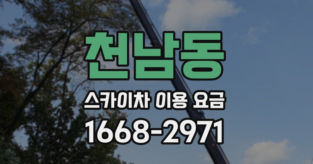 천남동 스카이차 이용 요금