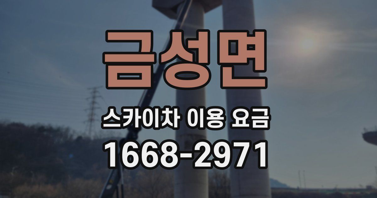 금성면 스카이차 이용 요금
