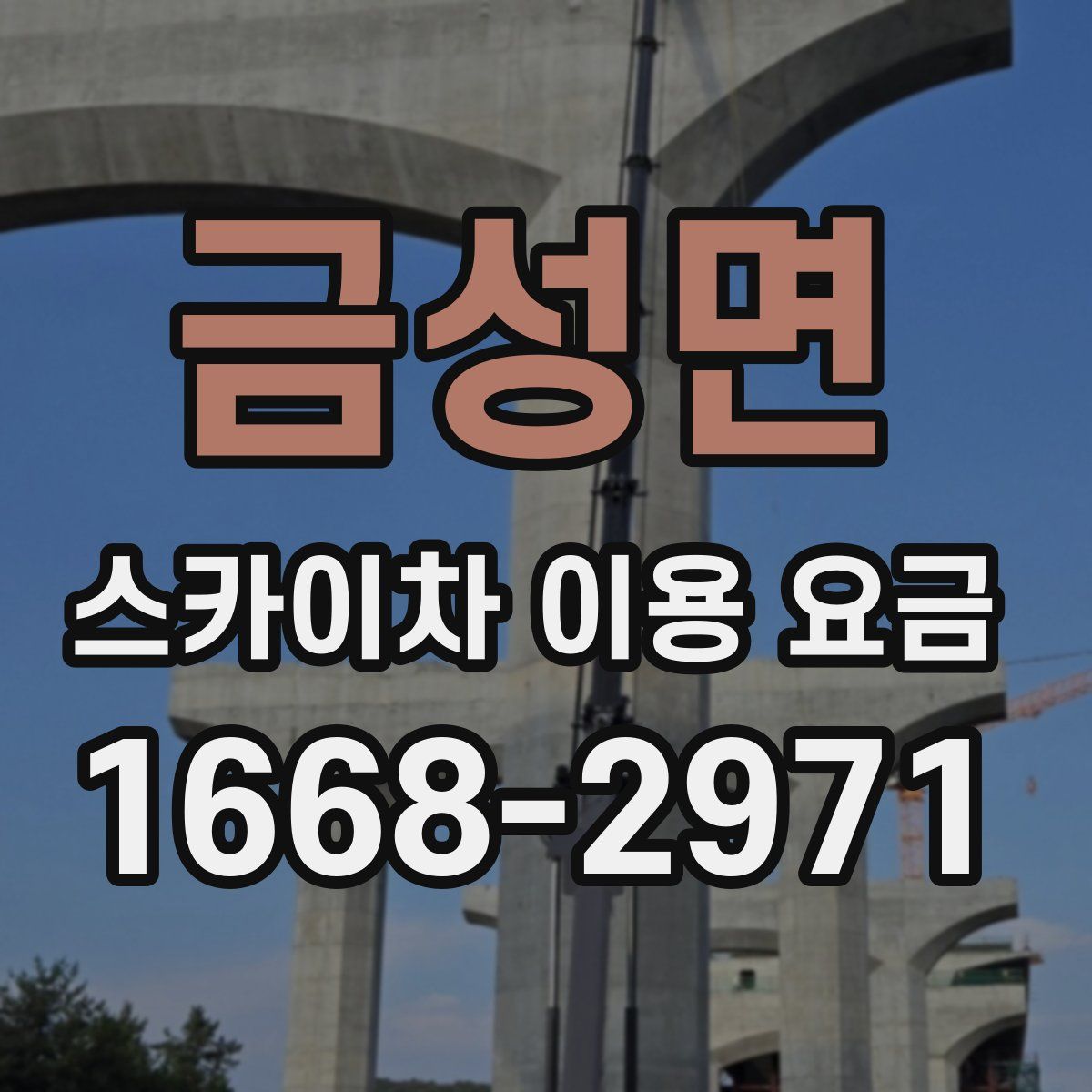 금성면 스카이차 이용 요금