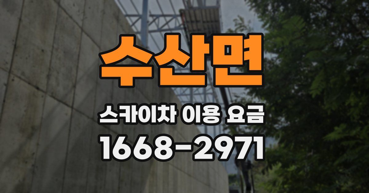 수산면 스카이차 이용 요금