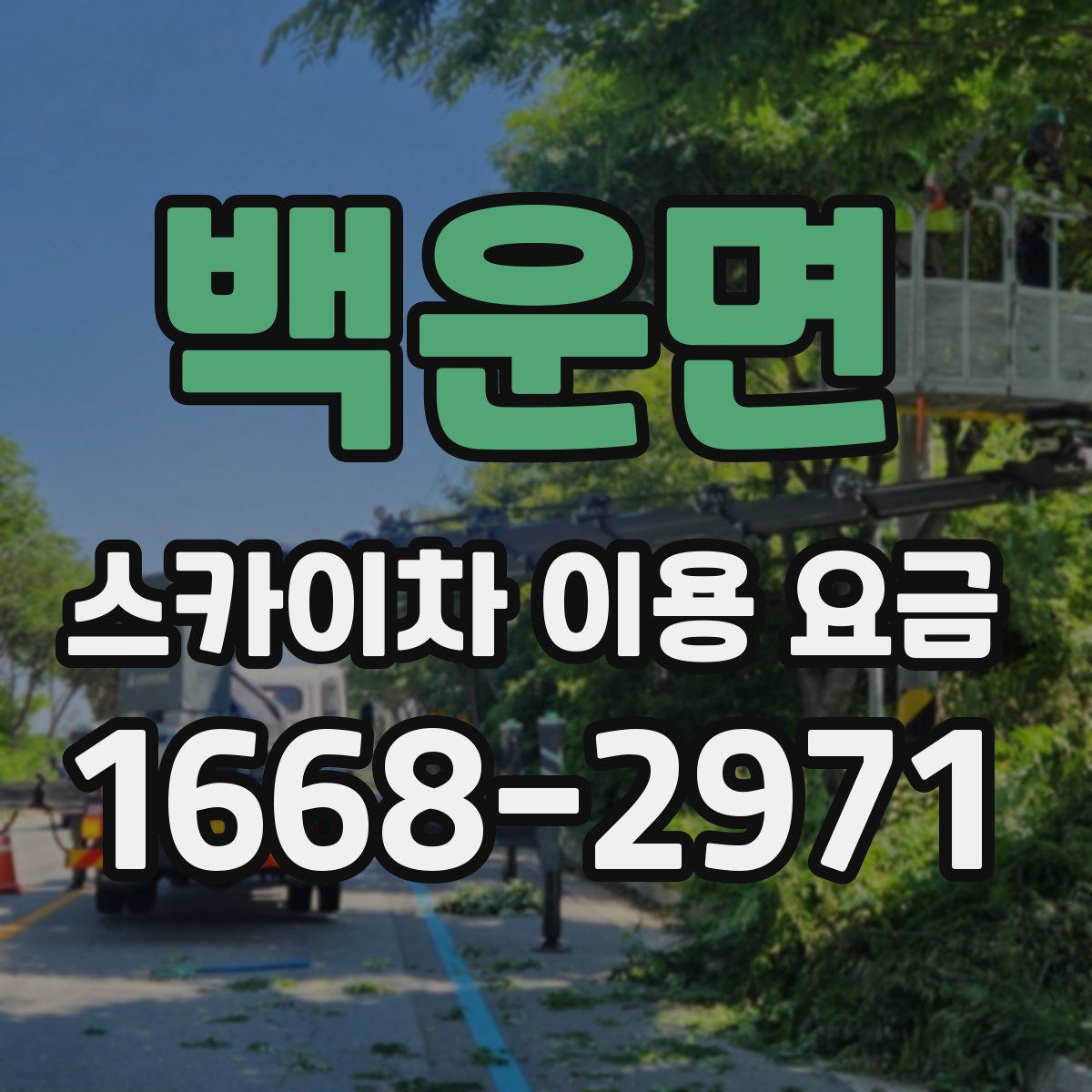 백운면 스카이차 이용 요금