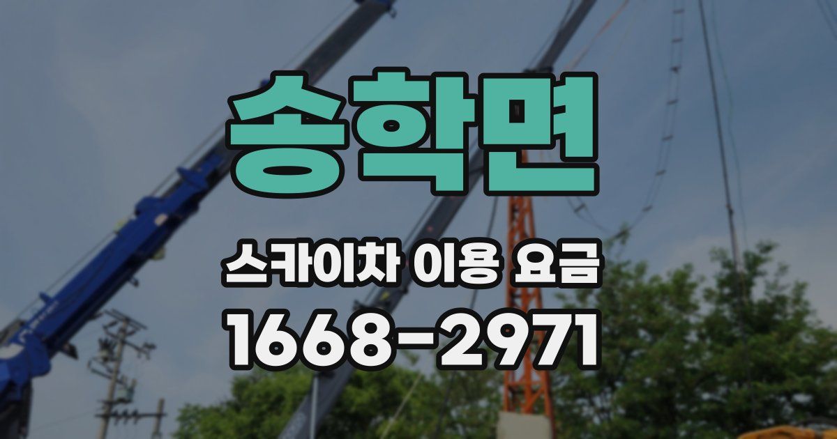 송학면 스카이차 이용 요금