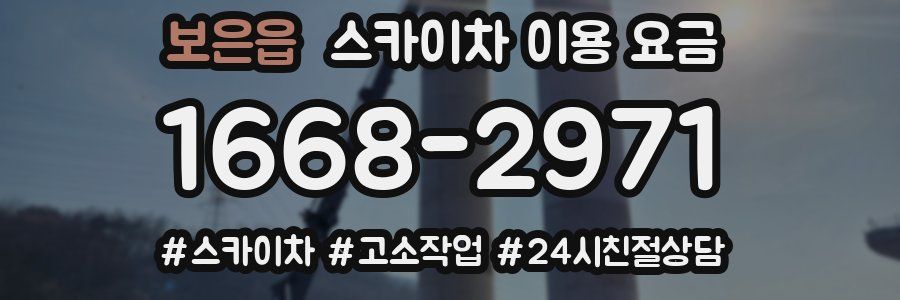 보은읍 스카이차 이용 요금