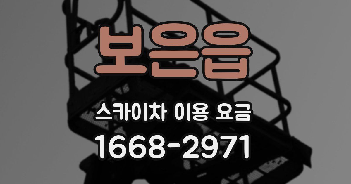 보은읍 스카이차 이용 요금