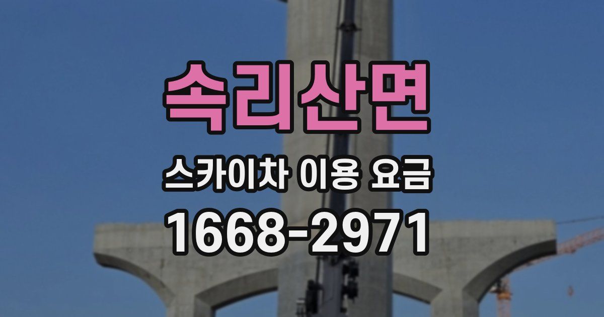 속리산면 스카이차 이용 요금
