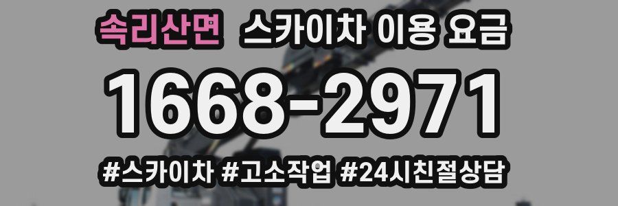 속리산면 스카이차 이용 요금