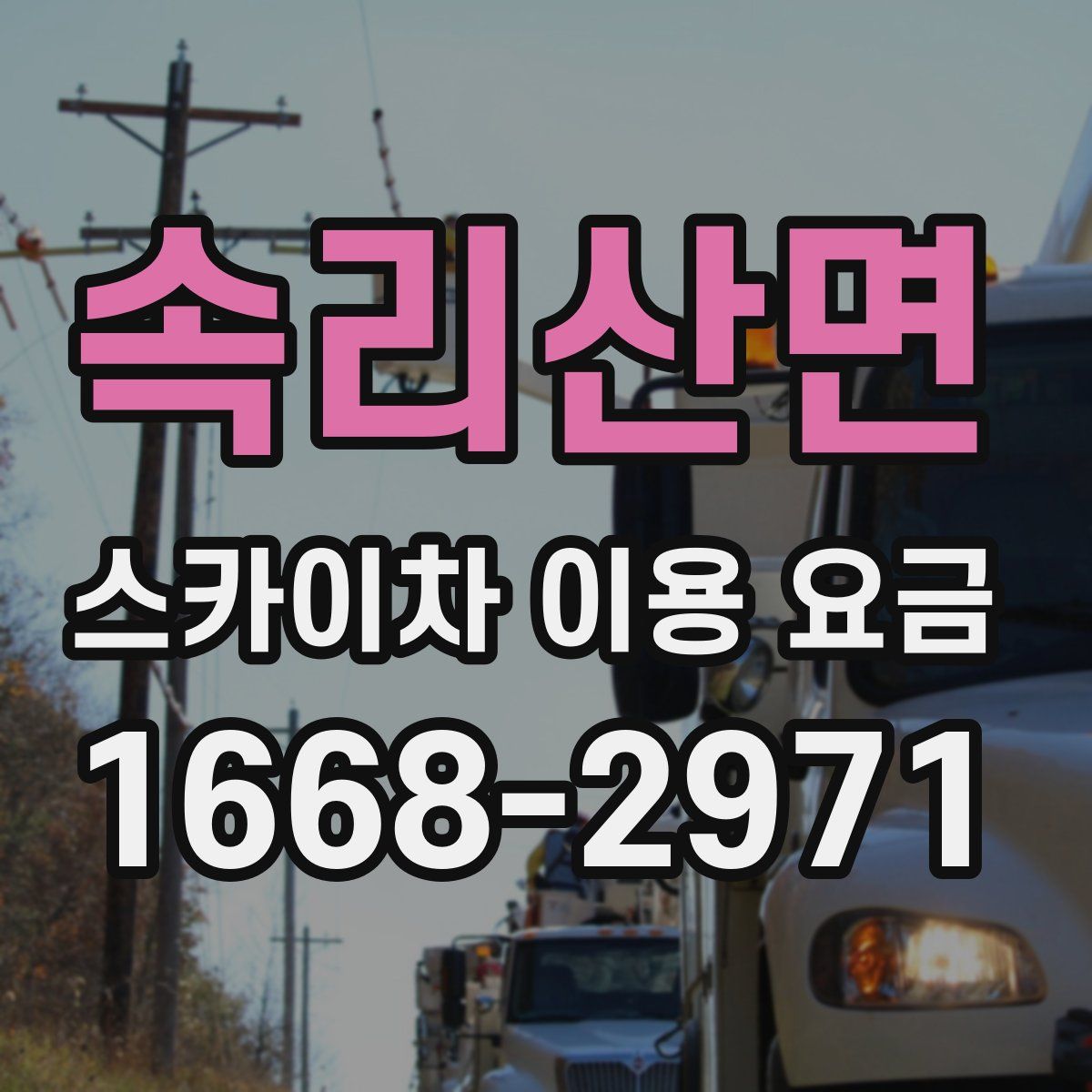 속리산면 스카이차 이용 요금