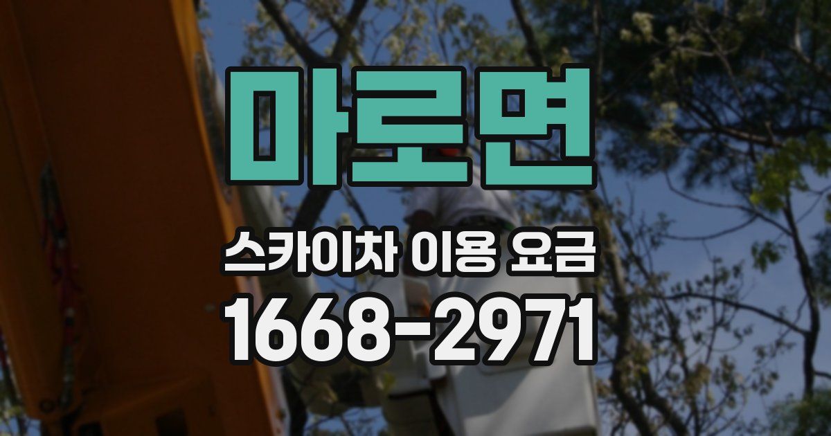 마로면 스카이차 이용 요금