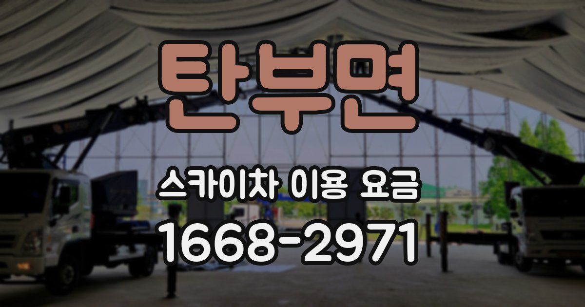 탄부면 스카이차 이용 요금