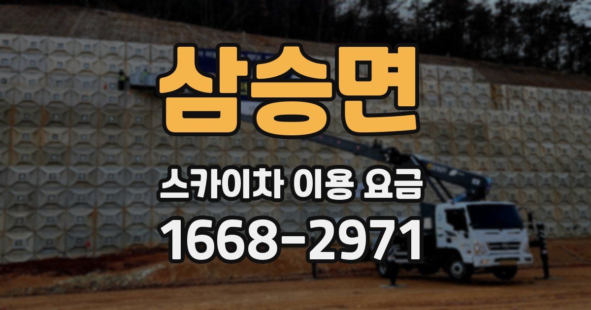 삼승면 스카이차 이용 요금