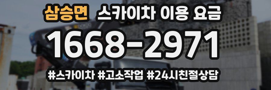 삼승면 스카이차 이용 요금