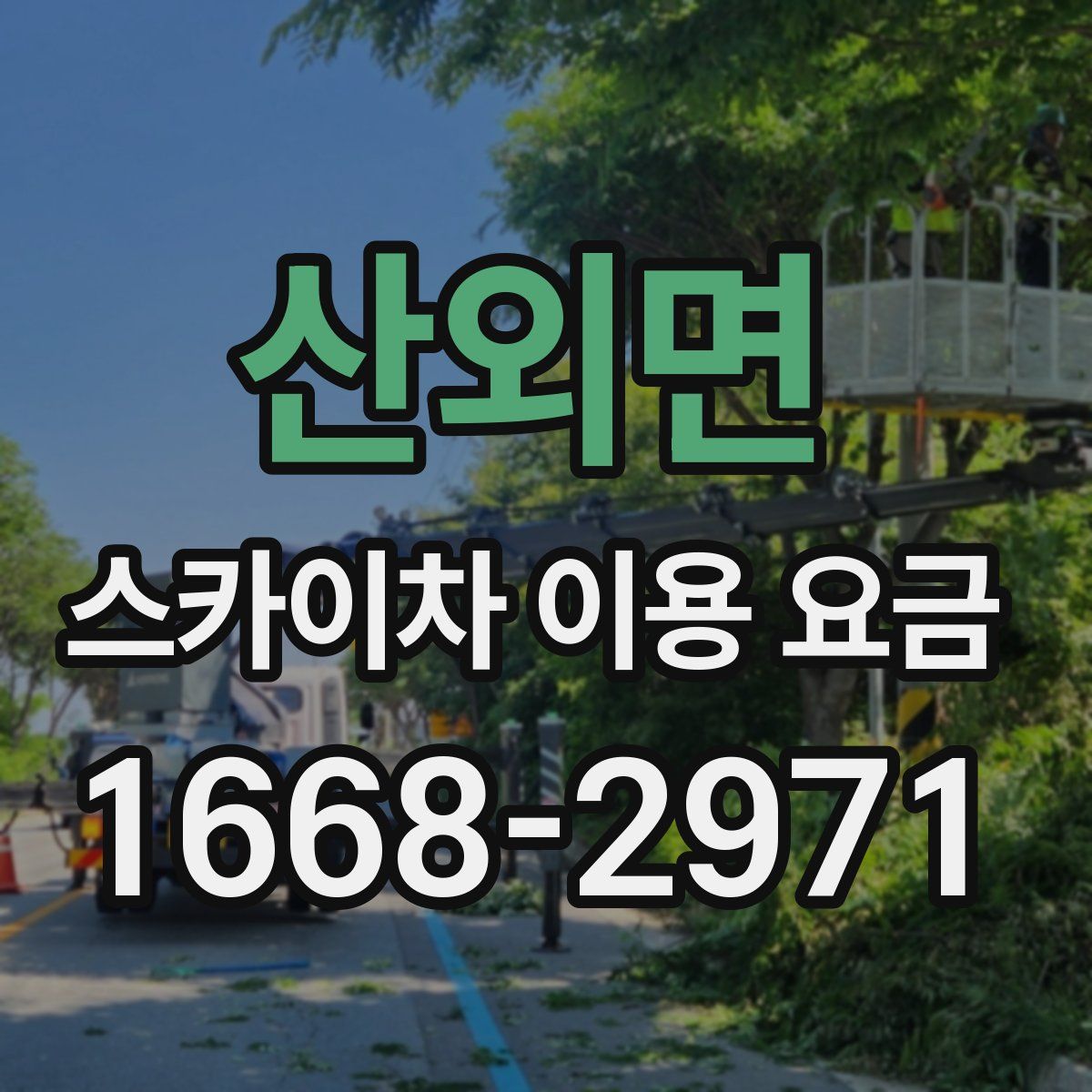 산외면 스카이차 이용 요금