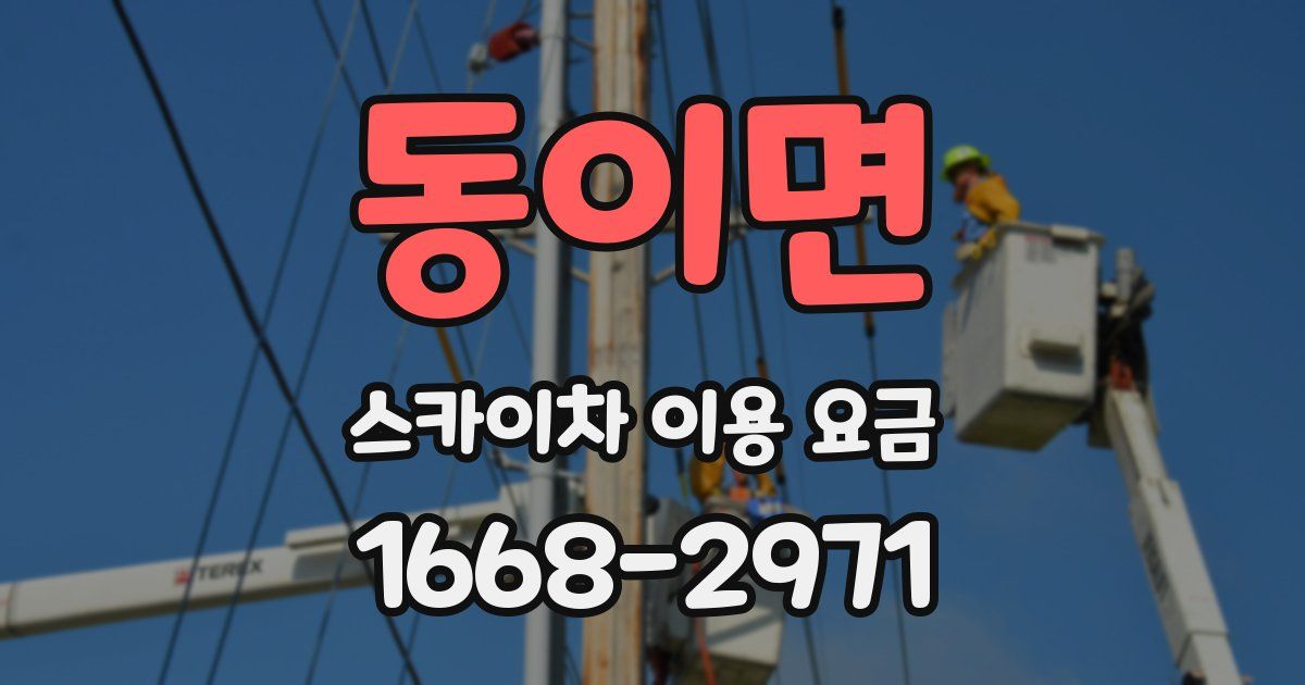 동이면 스카이차 이용 요금