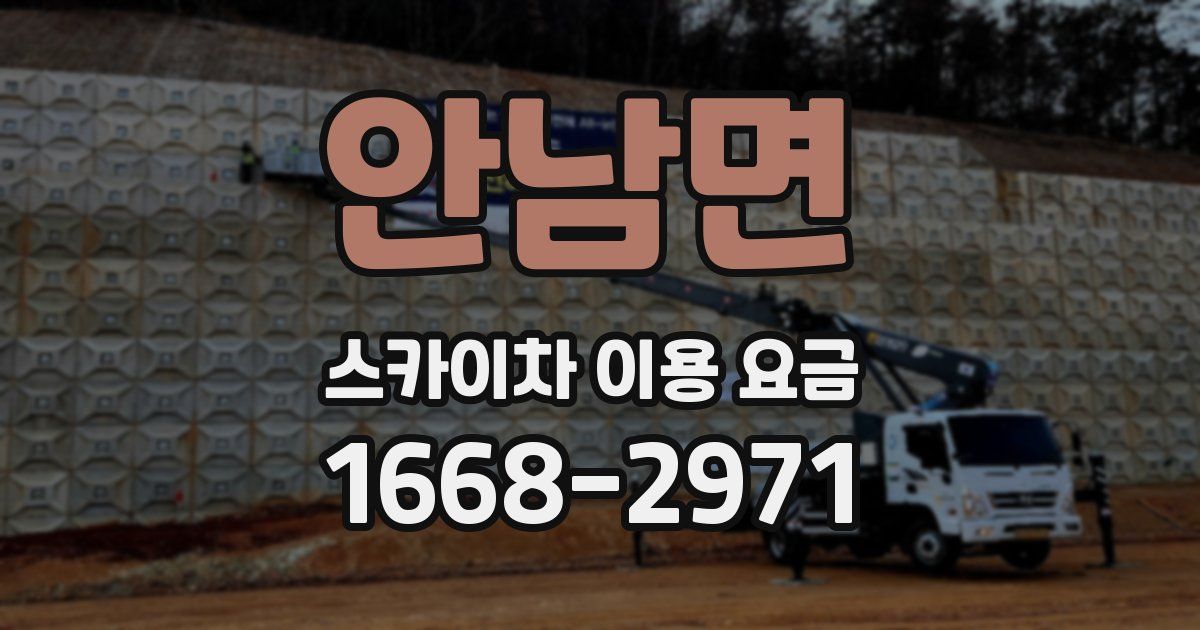 안남면 스카이차 이용 요금