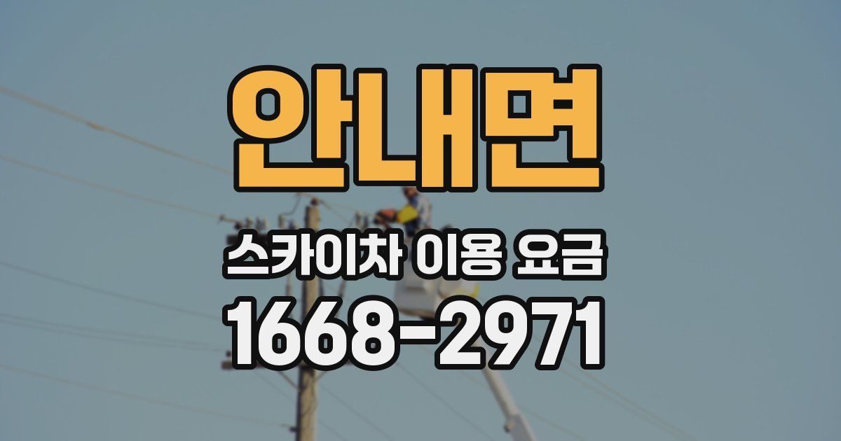 안내면 스카이차 이용 요금