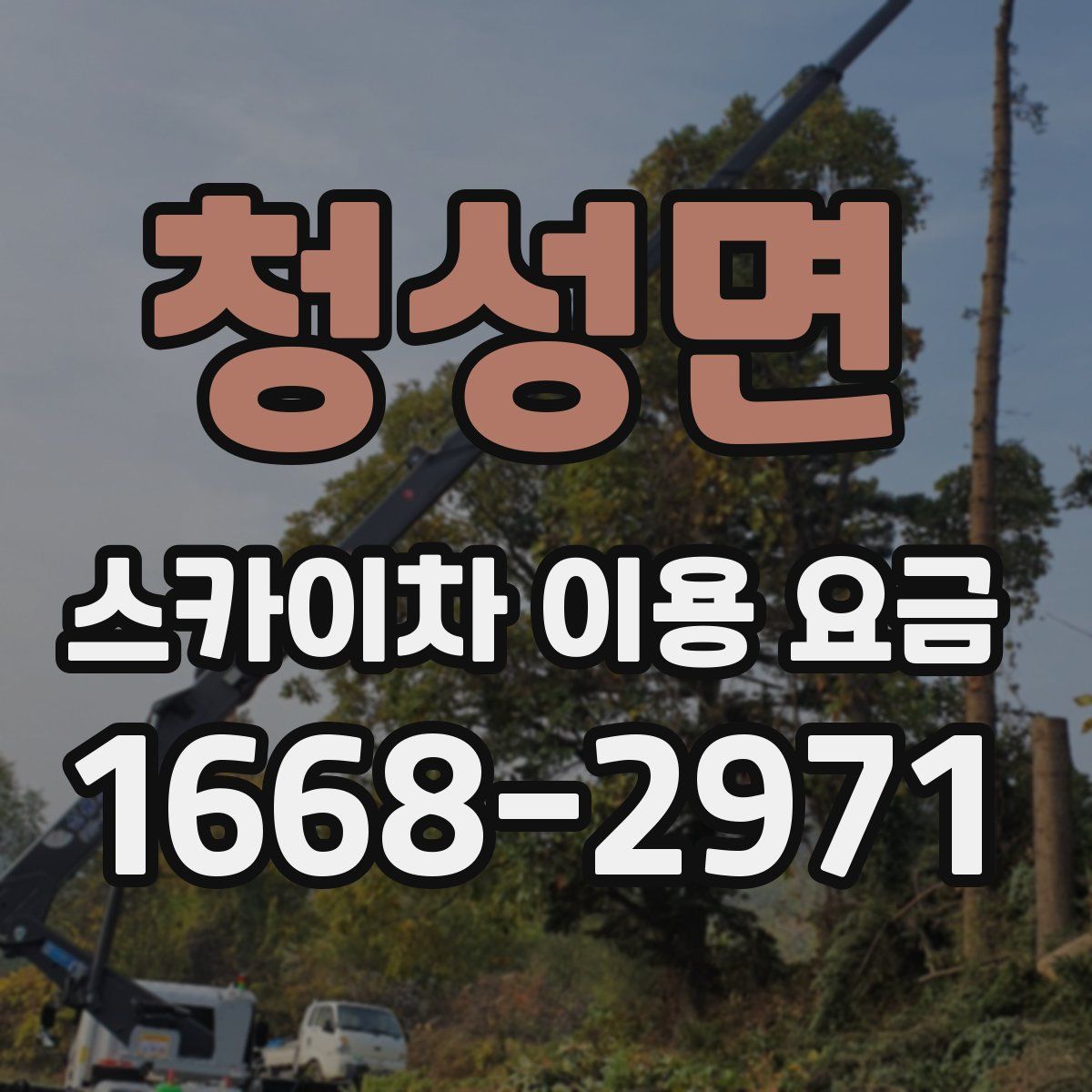 청성면 스카이차 이용 요금