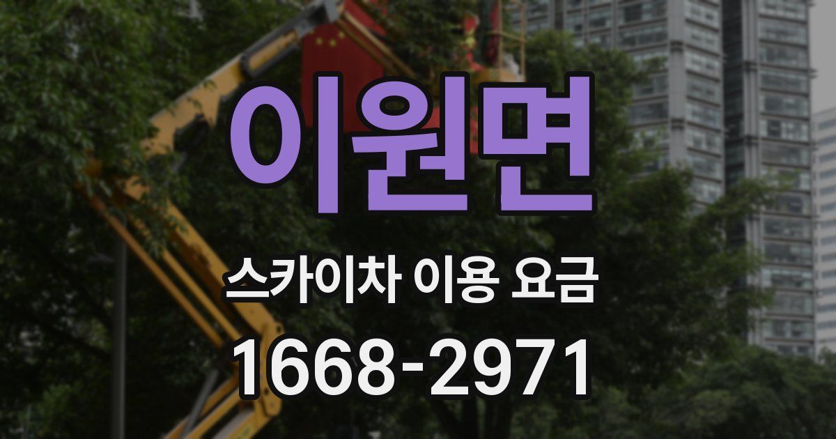 이원면 스카이차 이용 요금