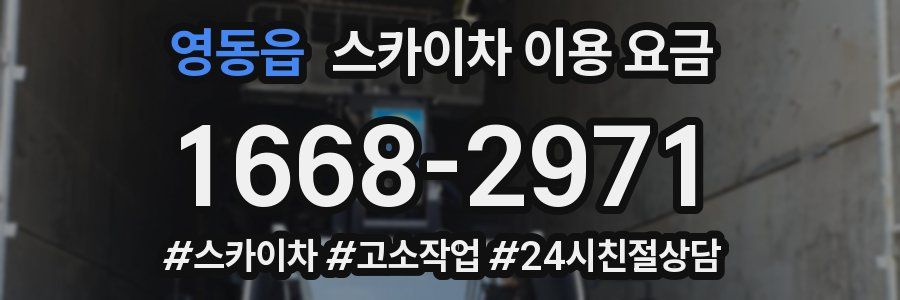 영동읍 스카이차 이용 요금