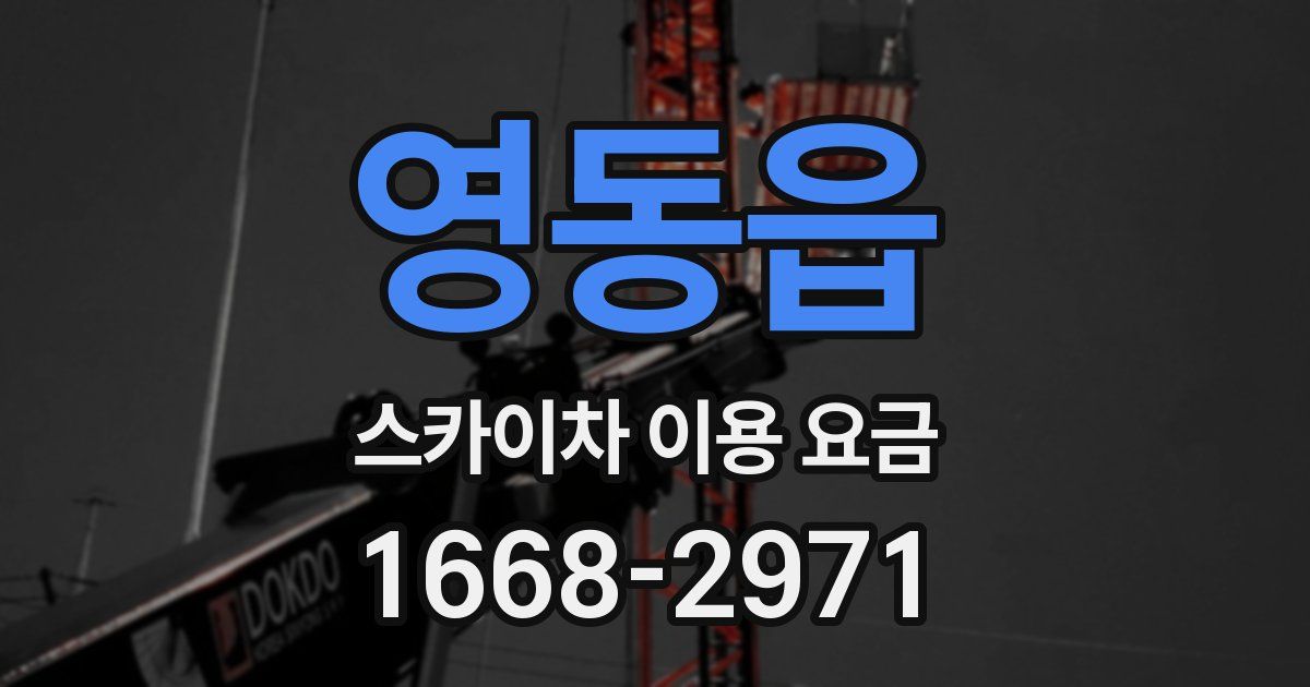 영동읍 스카이차 이용 요금