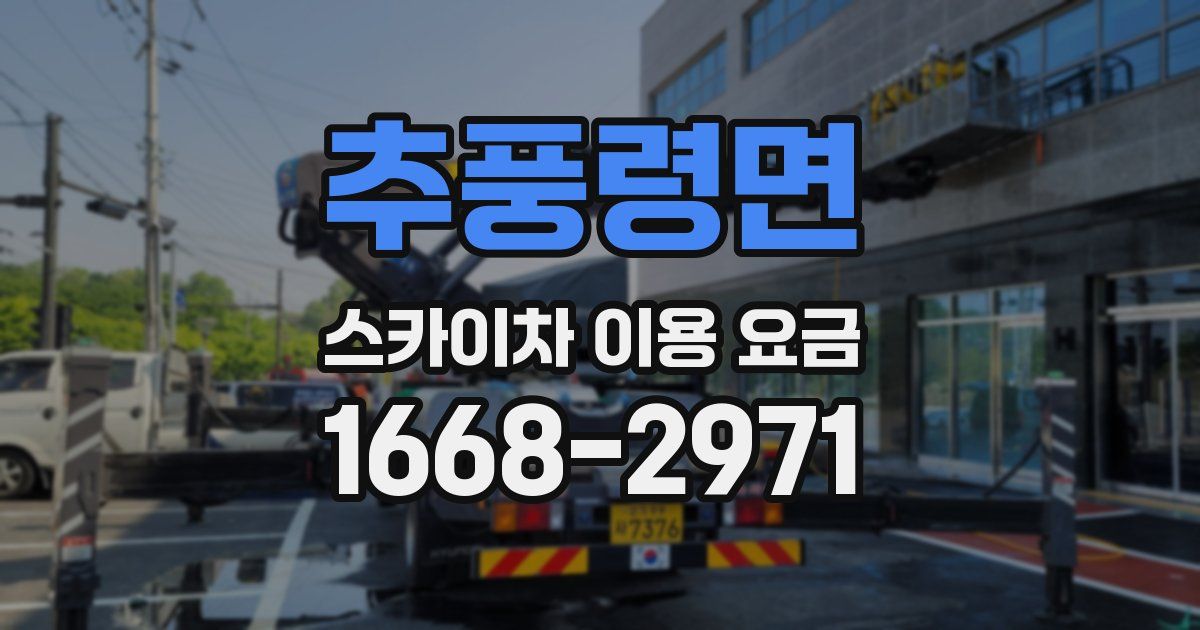 추풍령면 스카이차 이용 요금